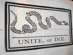dont-tread-flag